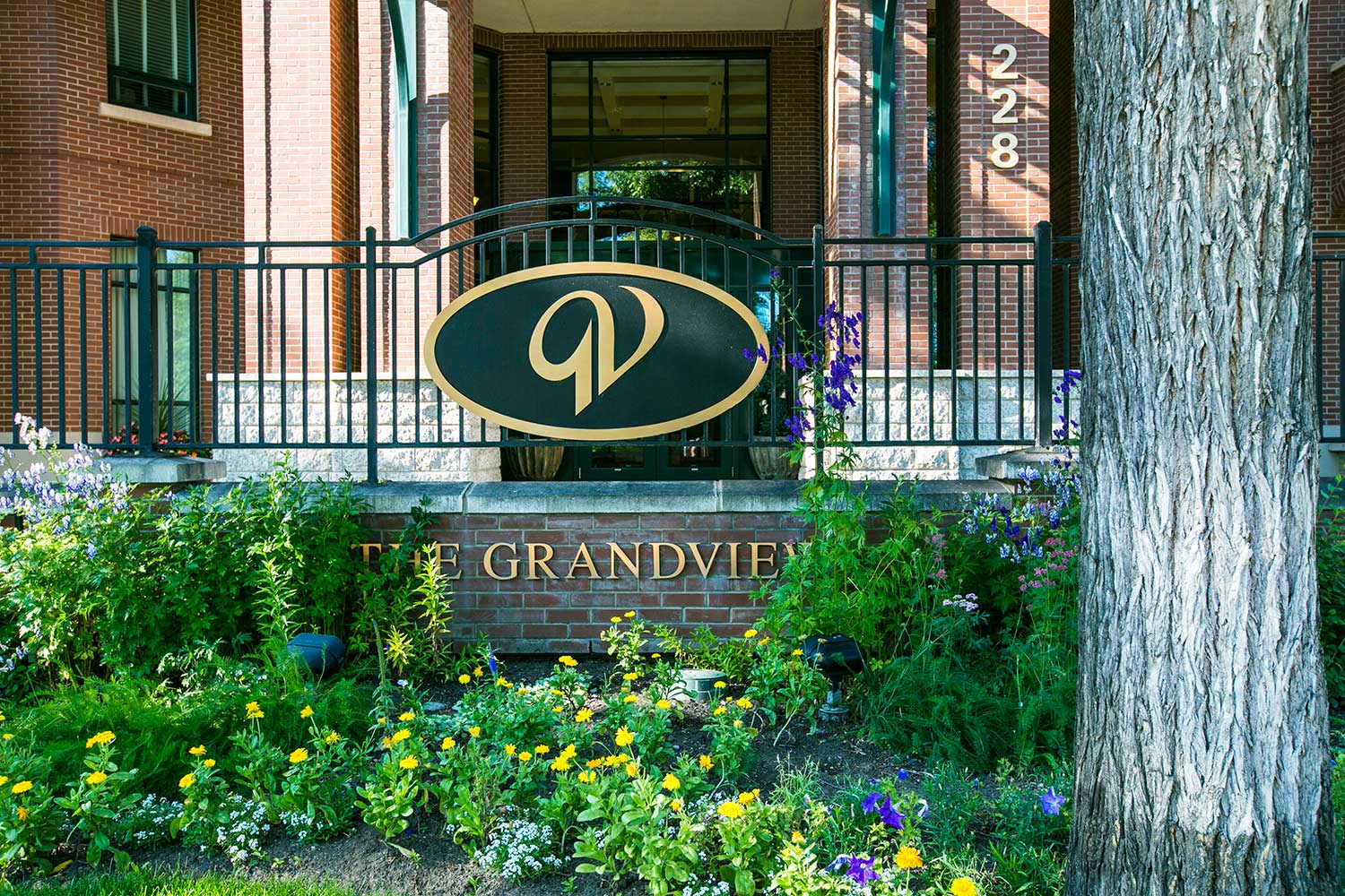 The Grandview 6