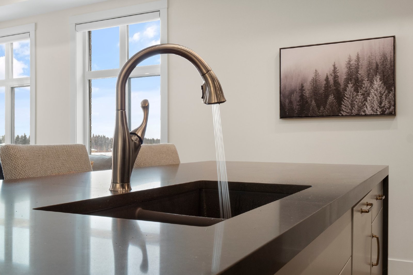 UNIVERSITY DISTRICT - CAPELLA BY BROOKFIELD property image