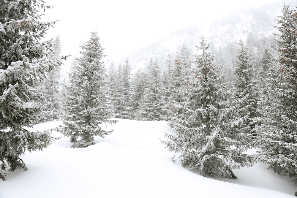 Cold Winter Weather: What Tenants Need to Know